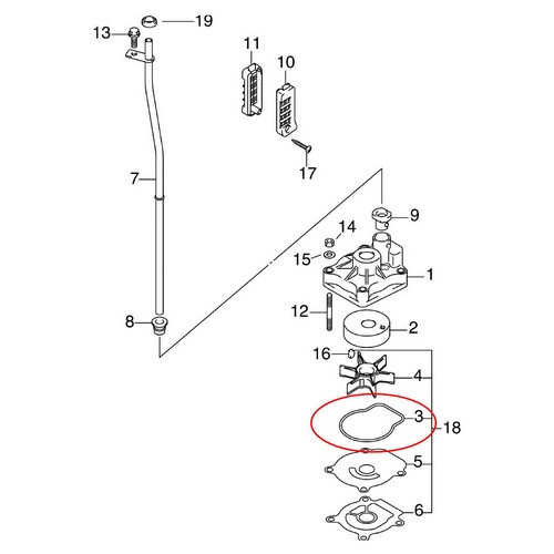 O-ring Pompa Acqua Evinrude Johnson BRP