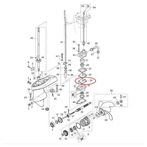 Guarnizione Pompa Acqua Evinrude BRP