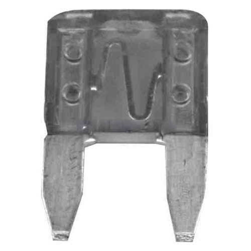 5 AMP Fuse Evinrude Johnson BRP