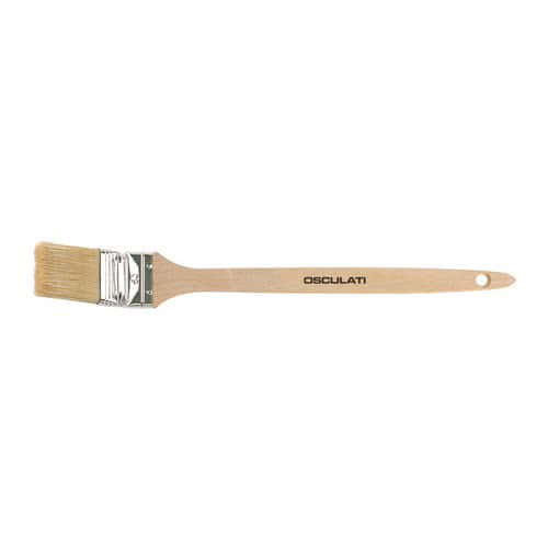 Paint brush with long handle