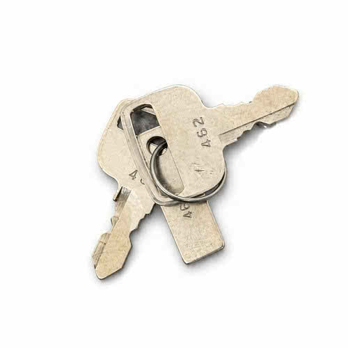 Evinrude G2 Starter Key n. 462