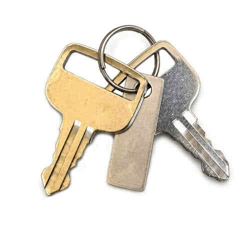 Evinrude G2 Starter Key n. 847