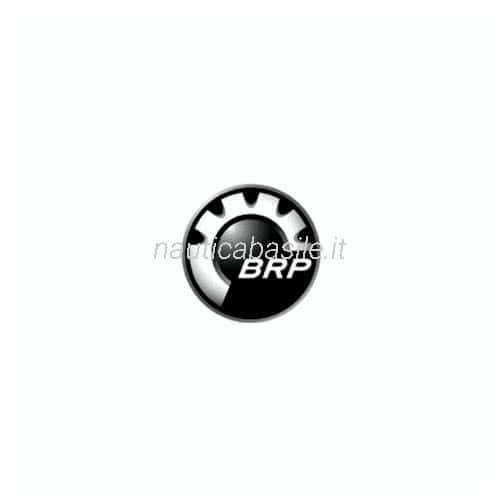 Adesivo Logo BRP Evinrude Johnson