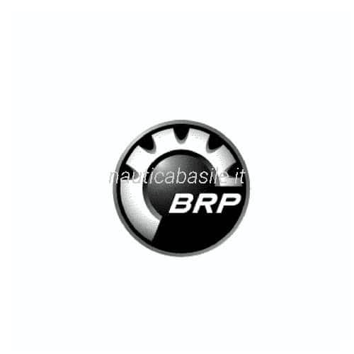 Adesivo Logo BRP Evinrude Johnson