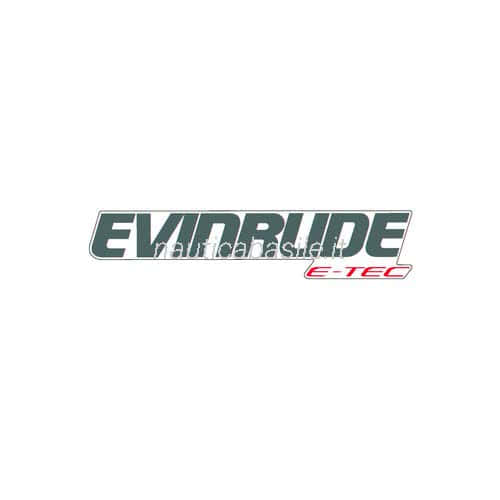 Adesivo Evinrude E-TEC