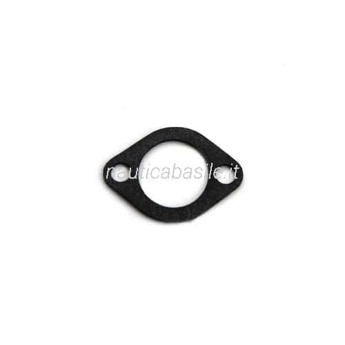 Anode Cover Gasket Johnson BRP
