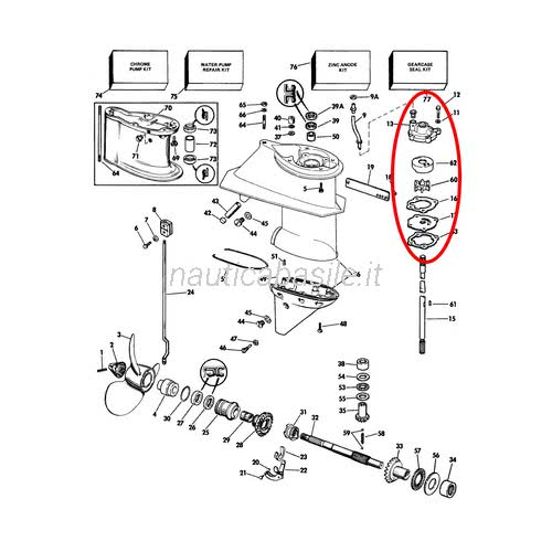 Kit Girante Pompa Acqua Per Motori Evinrude/OMC 2HP-4HP - Ricambio 433935, 433915, 396852 - Foto 6
