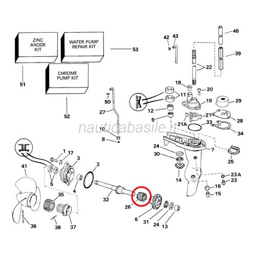 Termostato per motore fuoribordo Johnson Evinrude