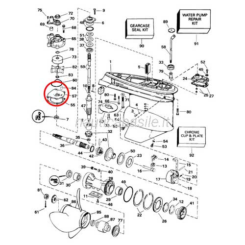 Water Pump Plate Evinrude Johnson BRP BRP-E | Nautica Basile