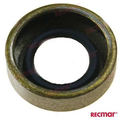 Paraolio Pompa Acqua Motore Evinrude Johnson BRP