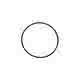 5031684-o-ring