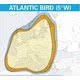 atlantic-bird