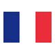 Flag France 20 x 30 cm