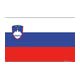 Bandiera Slovenia 20 x 30 cm