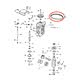 cinghia-distribuzione-evinrude-johnson-brp-339320-2